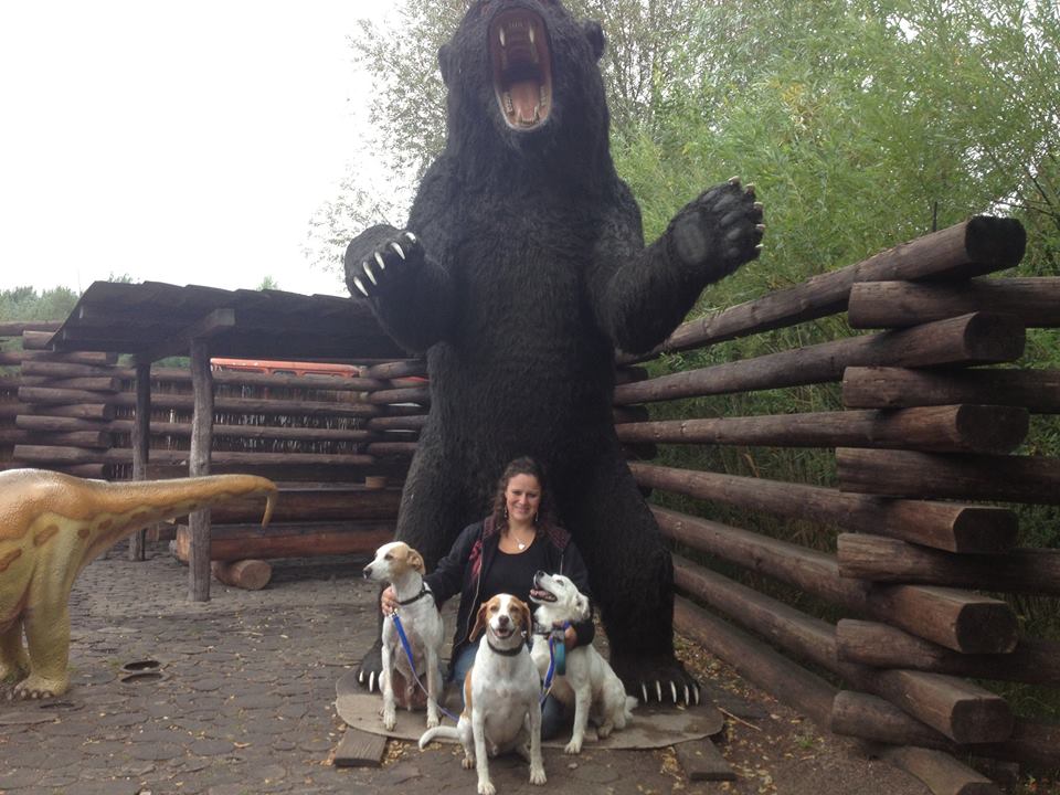 VerenaunddieHunde