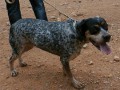 peggy-1