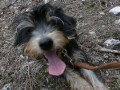 bobby-2